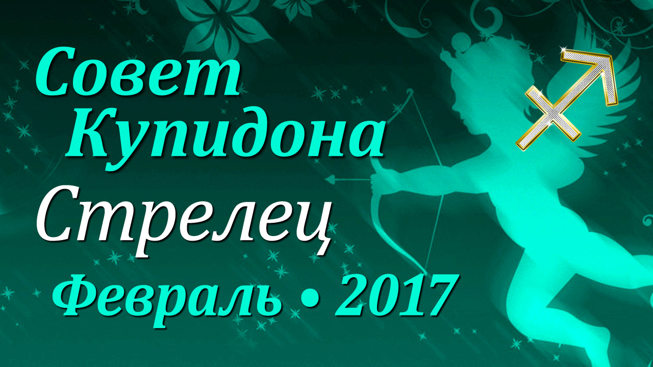 Стрелец, Совет Купидона, февраль 2017