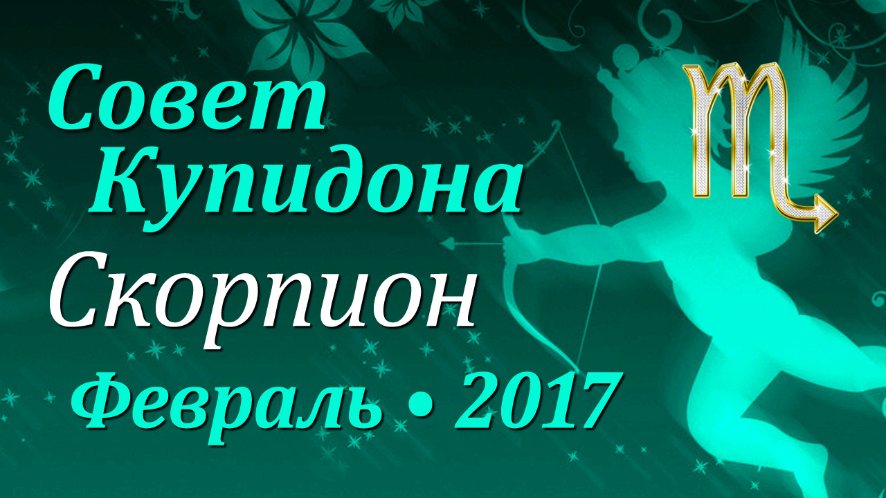Скорпион, Совет Купидона, февраль 2017